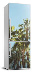Autocolant pe frigider Peisaje Palm Copaci