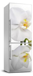 Autocolant pe frigider alb orhidee