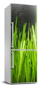 Autocolant frigider acasă lame de iarbă