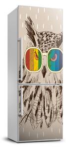 Autocolant pe frigider Owls ochelari