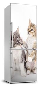 Autocolant pe frigider Două pisici de talie mică