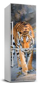 Foto Autocolant pentru piele al frigiderului Tigru