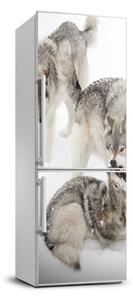 Autocolant pe frigider lupi gri
