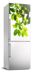 Autocolant frigider acasă frunze