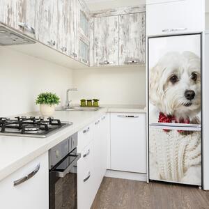 Foto Autocolant pentru piele al frigiderului Câine papion XL