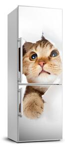 Autocolant pe frigider pisică XL