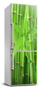 Autocolant pe frigider bambusul