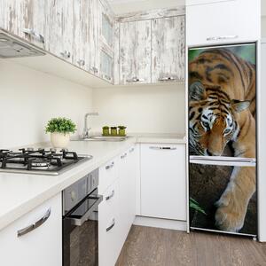 Foto Autocolant pentru piele al frigiderului Tiger pe un copac