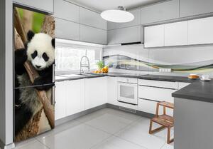 Autocolant pe frigider Panda într-un copac