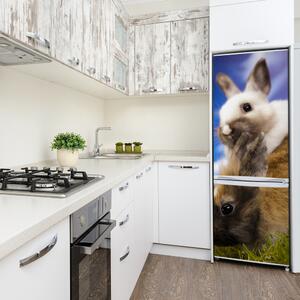 Autocolant pe frigider doi iepuri
