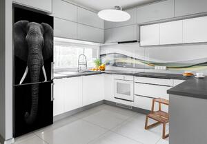 Autocolant pe frigider elefant african