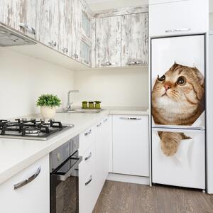 Autocolant pe frigider Pisică