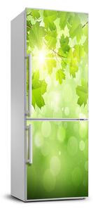 Foto Autocolant pentru piele al frigiderului Frunze verzi