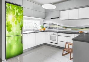 Foto Autocolant pentru piele al frigiderului Frunze verzi