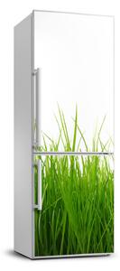 Autocolant pe frigider iarbă verde