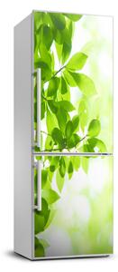 Autocolant frigider acasă Frunze verzi
