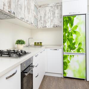Autocolant frigider acasă Frunze verzi