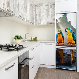 Autocolant pe frigider papagali Macaws