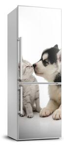 Autocolant pe frigider Câine și pisică