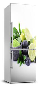 Autocolant pe frigider Fructele citrice și pietre