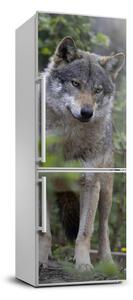 Autocolant frigider acasă Wolf în pădure