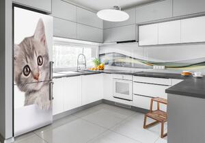 Autocolant pe frigider pisică gri