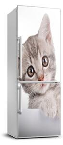 Autocolant pe frigider pisică gri