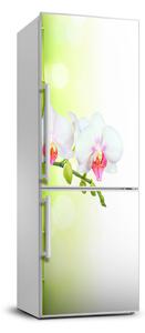 Foto Autocolant pentru piele al frigiderului Orhidee și bambus