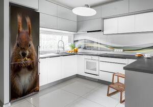 Autocolant frigider acasă veveriţă