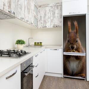 Autocolant frigider acasă veveriţă