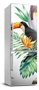Autocolant pe frigider păsări tropicale