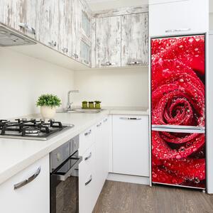 Foto Autocolant pentru piele al frigiderului Trandafir roșu