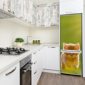 Autocolant frigider acasă Red Cat