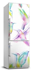 Autocolant pe frigider colibri colorate