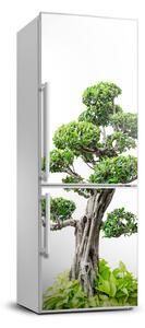 Autocolant pe frigider copac bonsai
