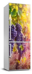 Autocolant pe frigider Peisaje pentru viticultura