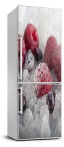 Autocolant pe frigider fructe congelate
