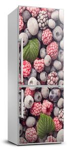 Autocolant frigider acasă fructe congelate