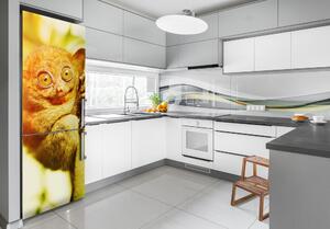 Foto Autocolant pentru piele al frigiderului Wyrak infricosatoare