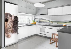 FotoFoto Autocolant pentru piele al frigiderului Câine și pisică