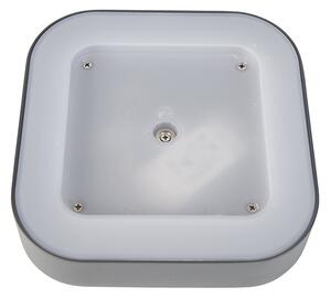 Lampă de perete și plafon gri pătrat IP54 - Ariel