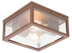 Plafonieră industrială maro ruginiu IP44 cu 2 lumini - Charlois