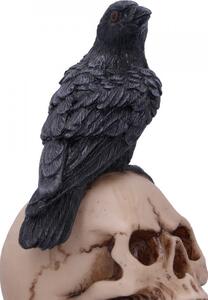 Figurina corb pe craniu Vraja Corbului 10.3 cm