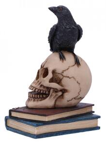 Figurina corb pe craniu Vraja Corbului 10.3 cm