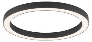 Plafoniere PURE, PURE Lines Round, reglabil, Negru, Camera de zi, Metal, Modern