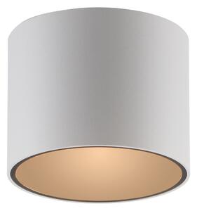Plafoniere PURE, Point, reglabil, Alb, Baie, Metal, Modern
