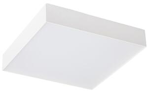 Sapho Sapho, plafoniera LED RISA 10W, 230V, 28x28cm, alb, LS030B