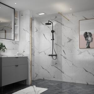 Erga Paris, Paravan de duș Walk-In 50x200 cm, sticlă transparentă de 8 mm, profil auriu lucios, ERG-V02-PARIS-050x200-CL-GD