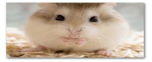 Tablou acrilic Hamster