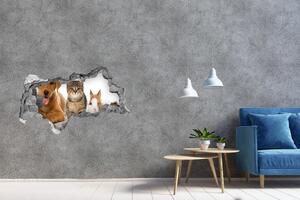 Fototapet 3D gaură în perete Câine și pisică